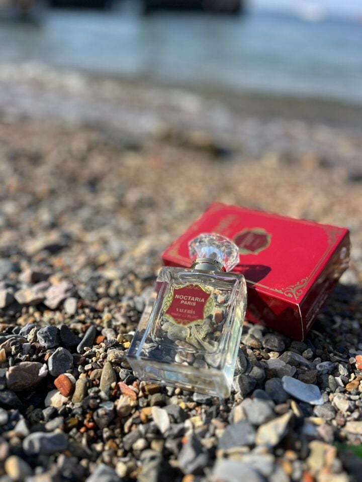 Noctaria Paris Valeria Kadın Parfümü 50 ML Vanilya & Amber Notalı Niş Koku | Yüksek Kalıcılık | Premium Esans