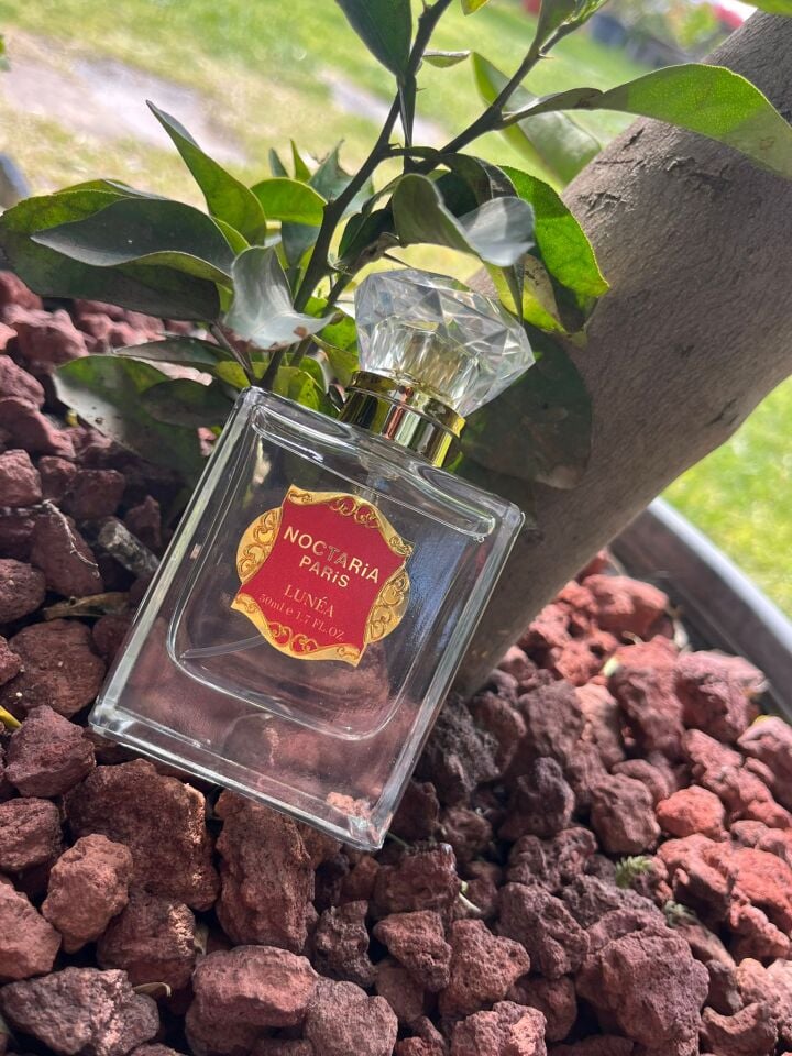 Noctaria Paris Lunéa Kadın Parfümü 50 ml | Ferah Meyveli Çiçeksi Niş Koku | Çarkıfelek, Şakayık & Vanilya Notalı | Premium Esans