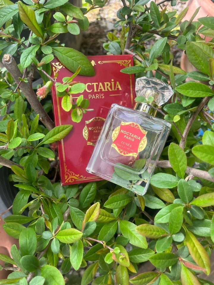 Noctaria Paris Lunéa Kadın Parfümü 50 ml | Ferah Meyveli Çiçeksi Niş Koku | Çarkıfelek, Şakayık & Vanilya Notalı | Premium Esans