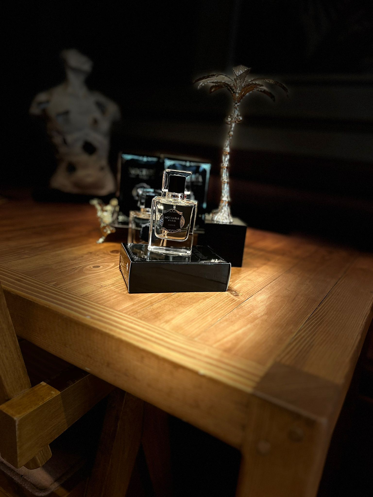 Noctaria Paris Ardor Erkek Parfümü 50 ml | Sıcak Baharatlı – Odunsu | Yüksek Esanslı, Kalıcı