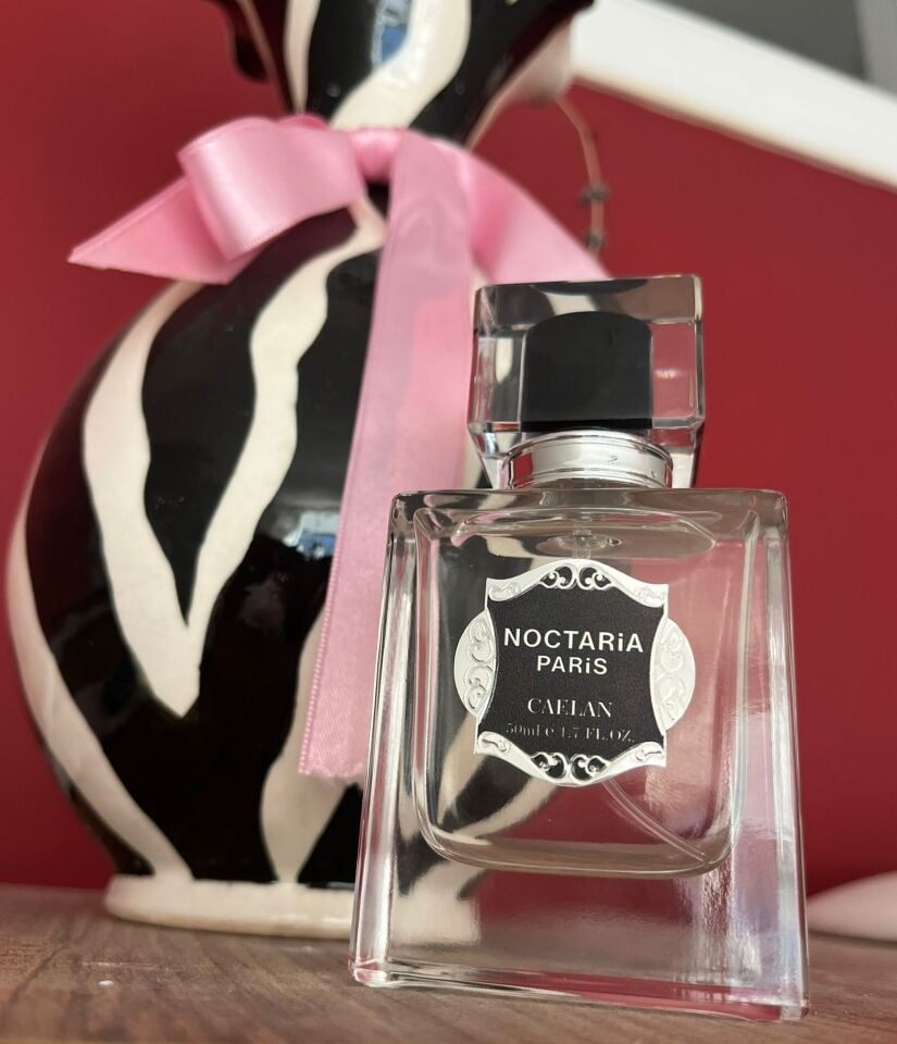 Noctaria Paris Caelan Erkek Parfümü 50 ml | Tonka & Oryantal | Yüksek Esanslı, Kalıcı