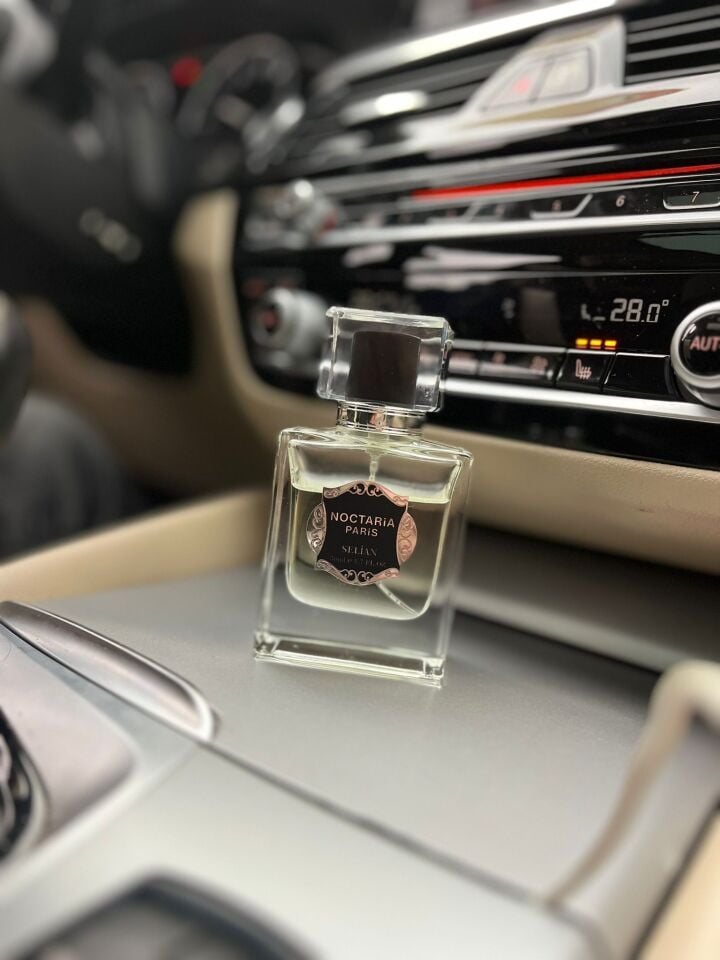 Noctaria Paris Selian Erkek Parfümü 50 ml | Ferah Aromatik | Yüksek Esanslı, Kalıcı